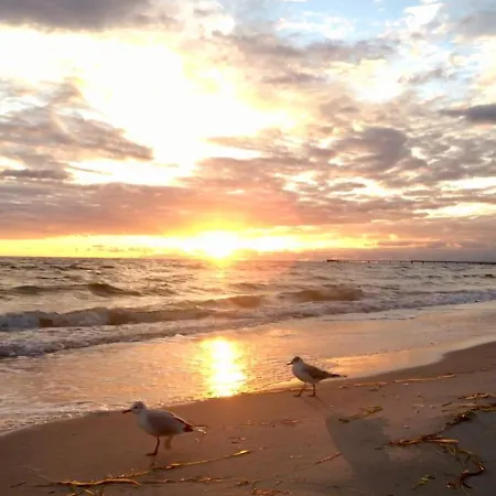 Buhne 31 Дом отдыха