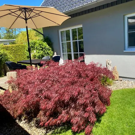 Buhne 31 Holiday home *