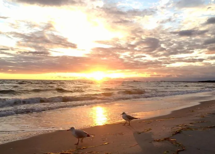 Buhne 31 בית נופש